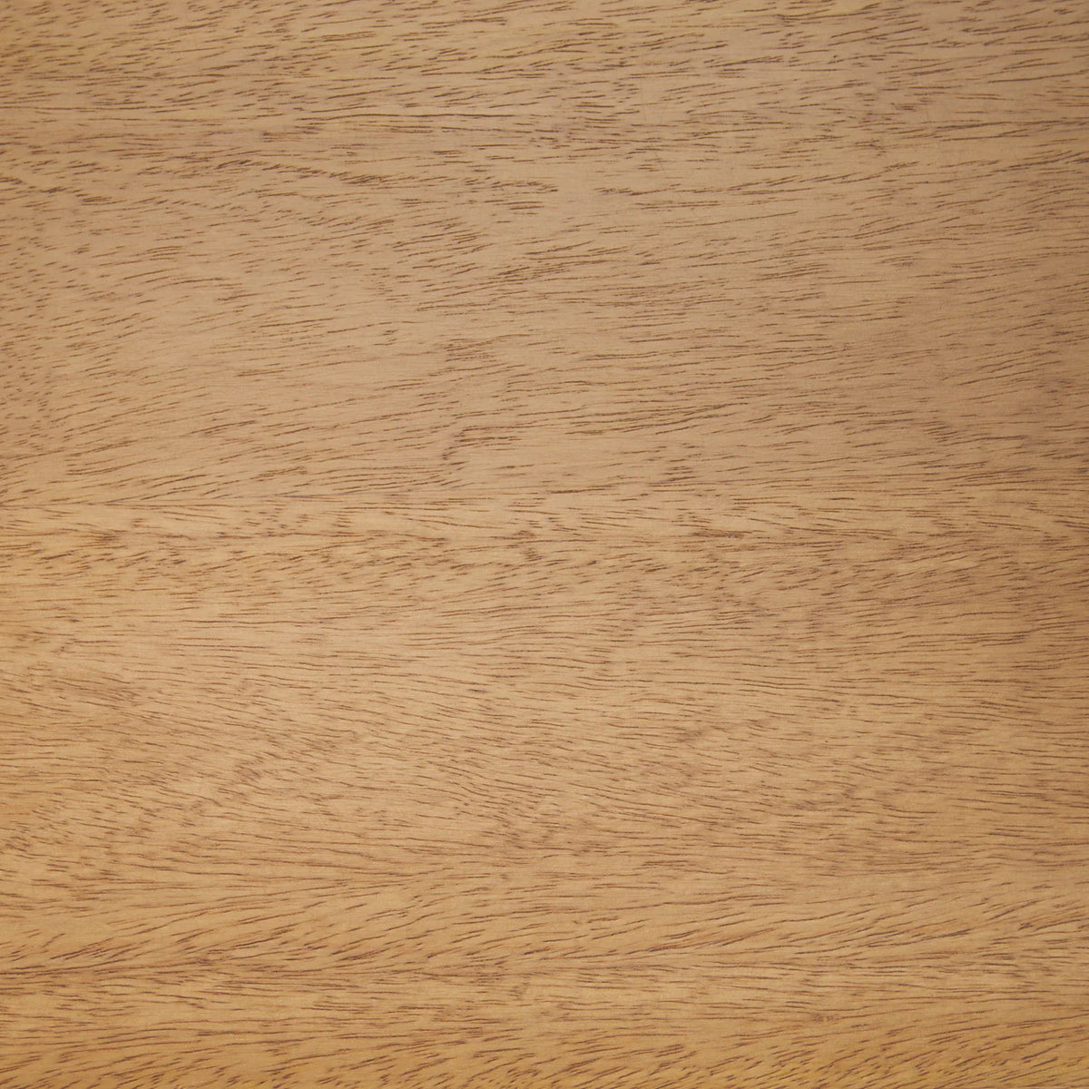 Suke Dining Table Natural Wood | 84"