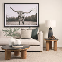 Tuscon Coffee Table Recycled Pine | Black Oak