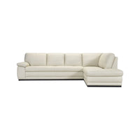 Acer Leather Sectional