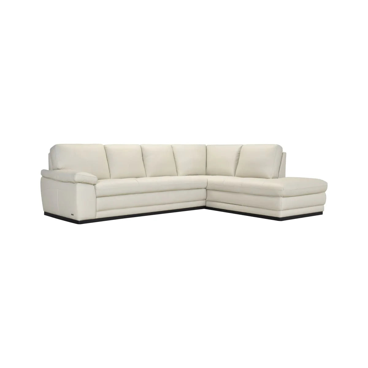 Acer Leather Sectional