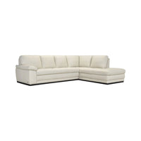 Acer Leather Sectional