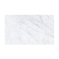 Orion Marble Coffee Table